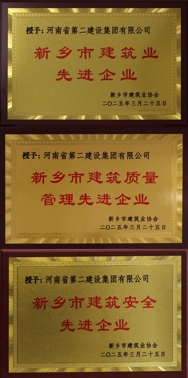 荣耀网页版登录入口_荣耀（中国）奖牌拼图.jpg